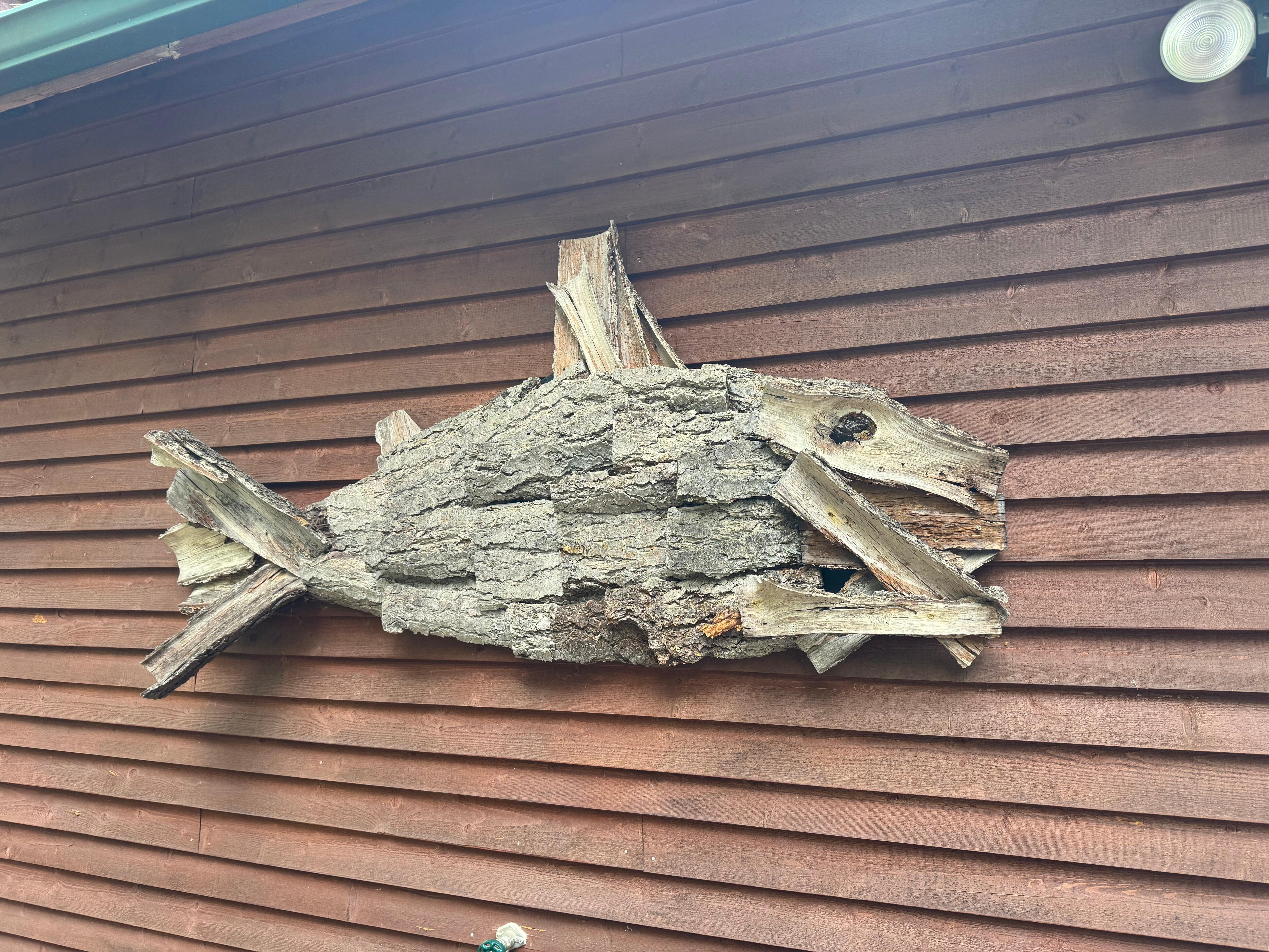 Outside the back door.