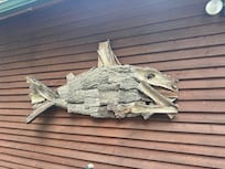 Outside the back door.