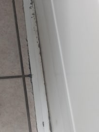 Moldy floors molding everywhere