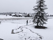 View from the patio after it snowed.