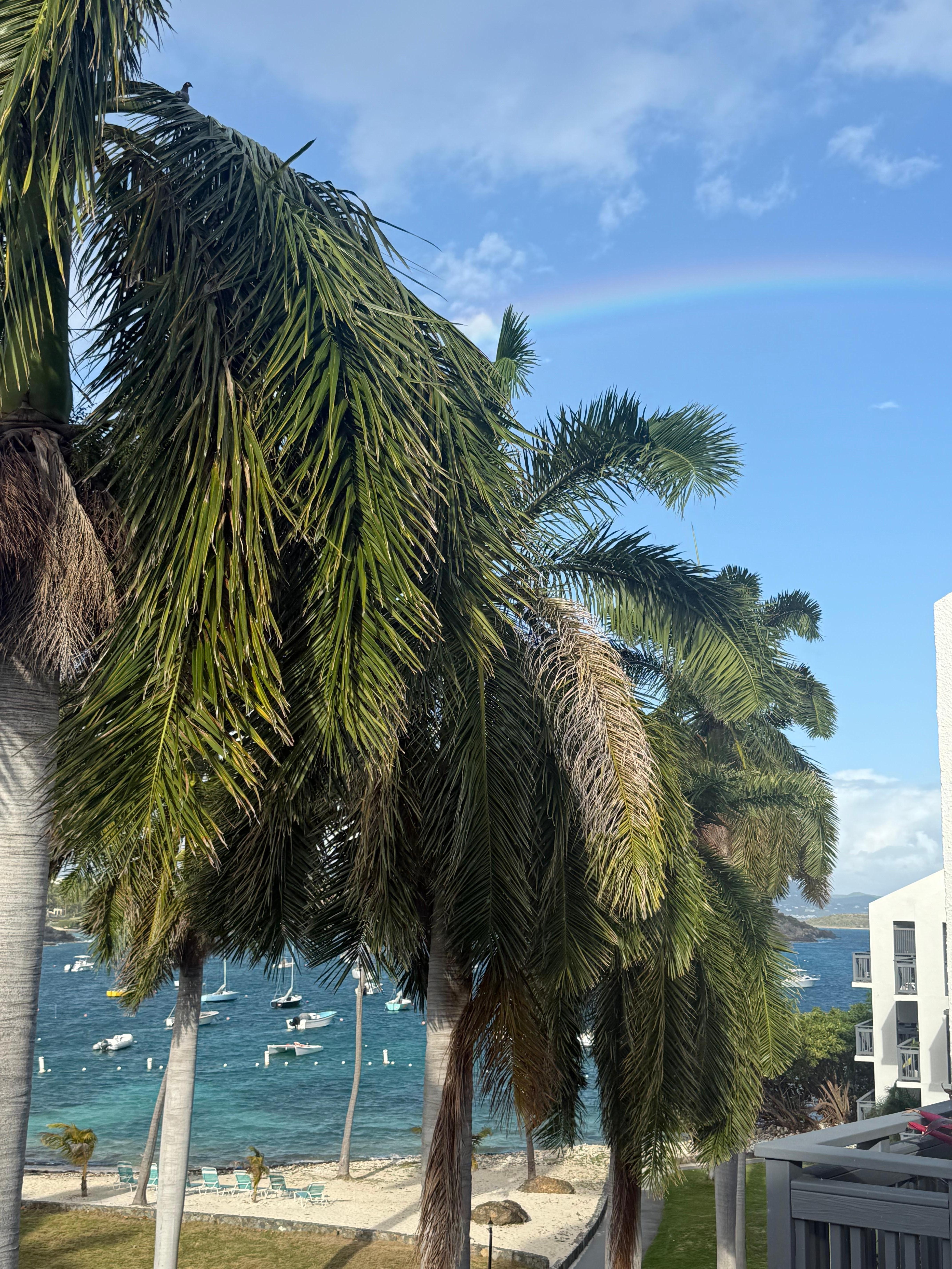 View from the balcony 