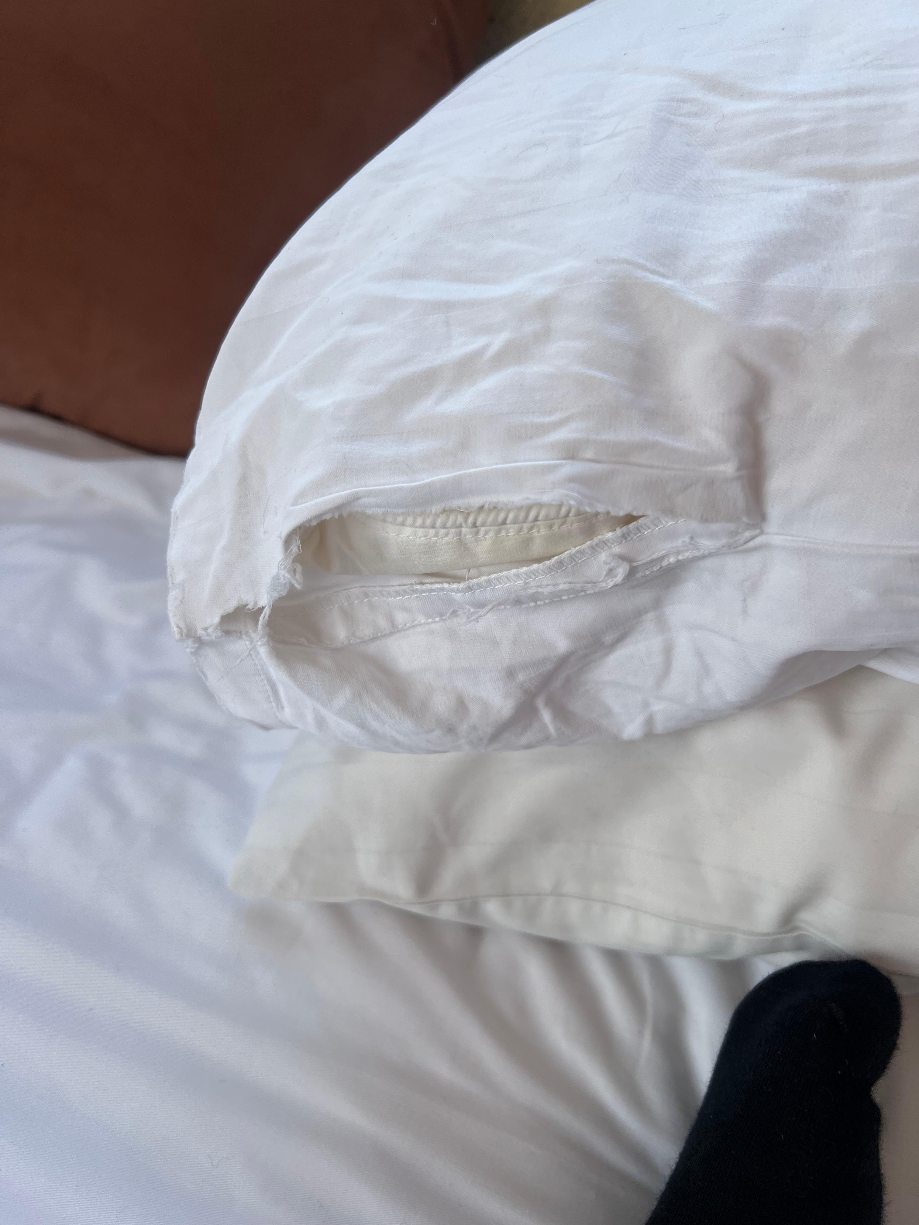 Torn pillow case.