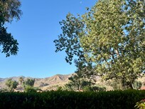 Great view