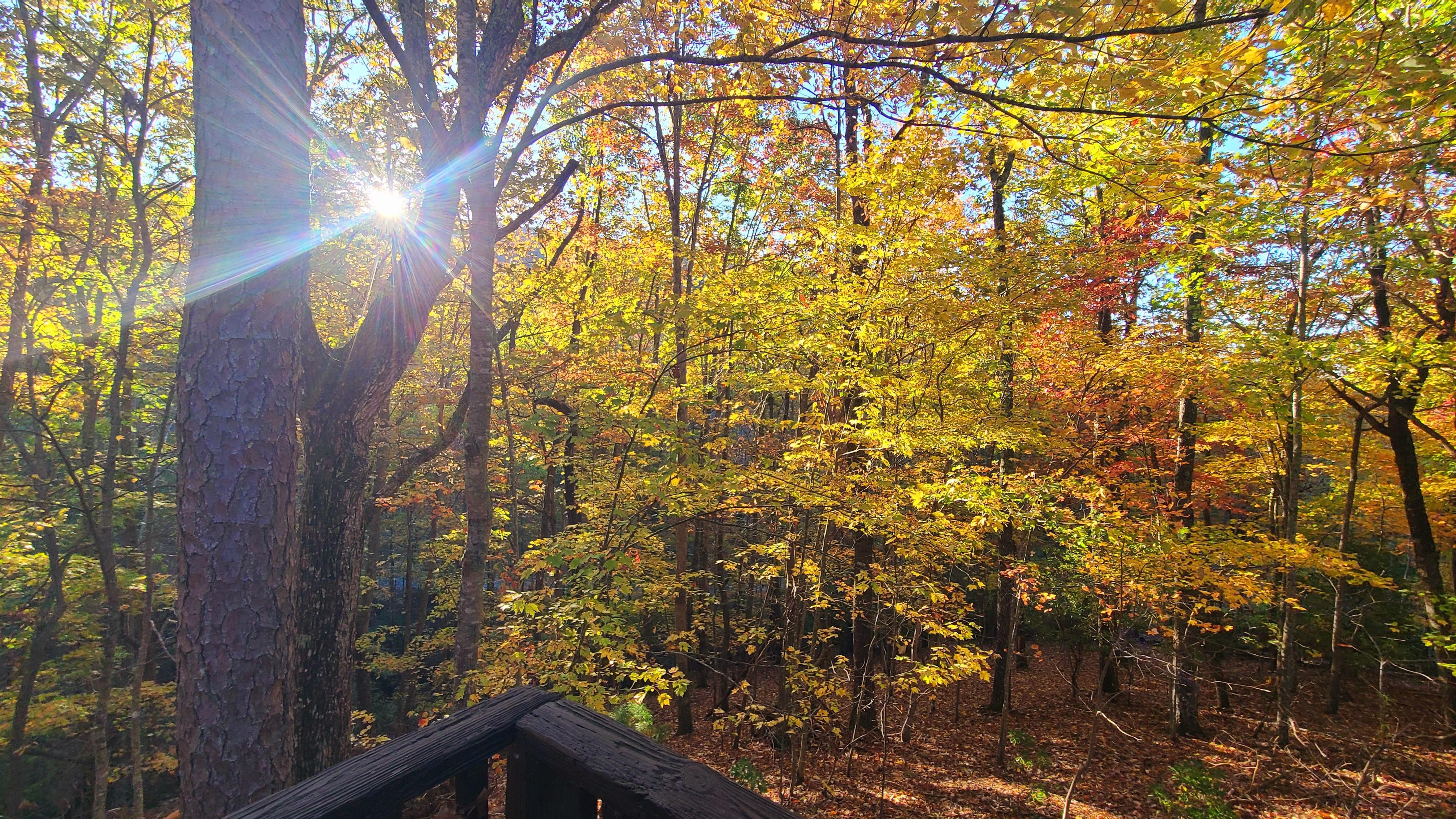 Fall sunrise view from porch