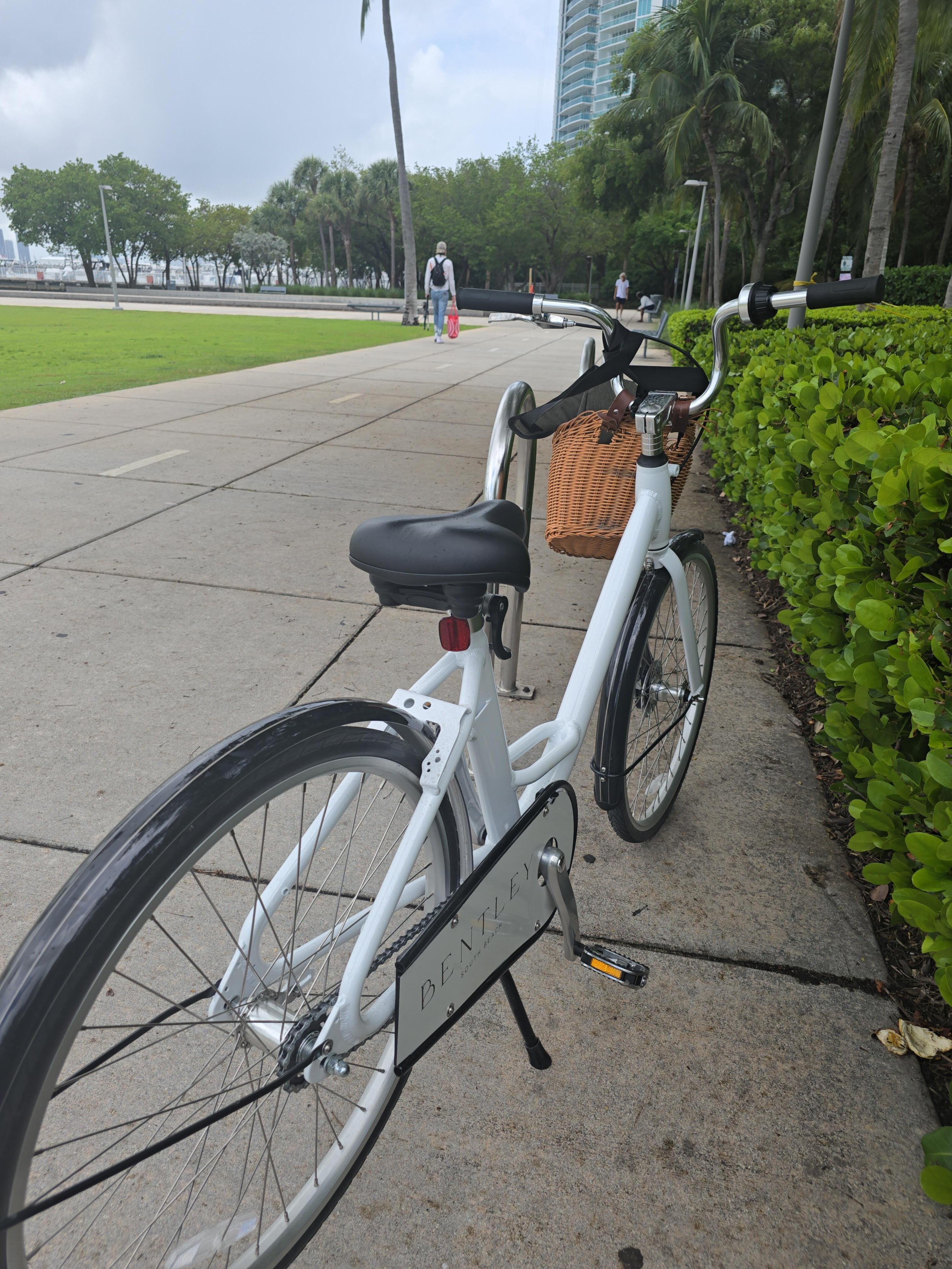 Bike rental
