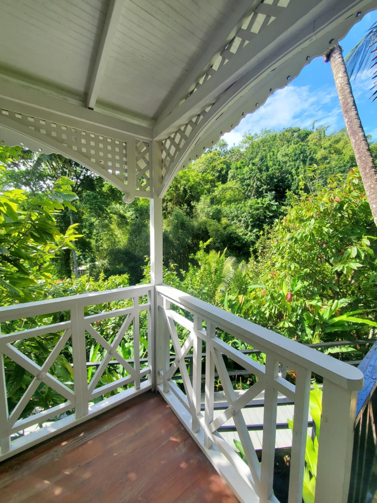 Cashew cottage panoramic veiw 