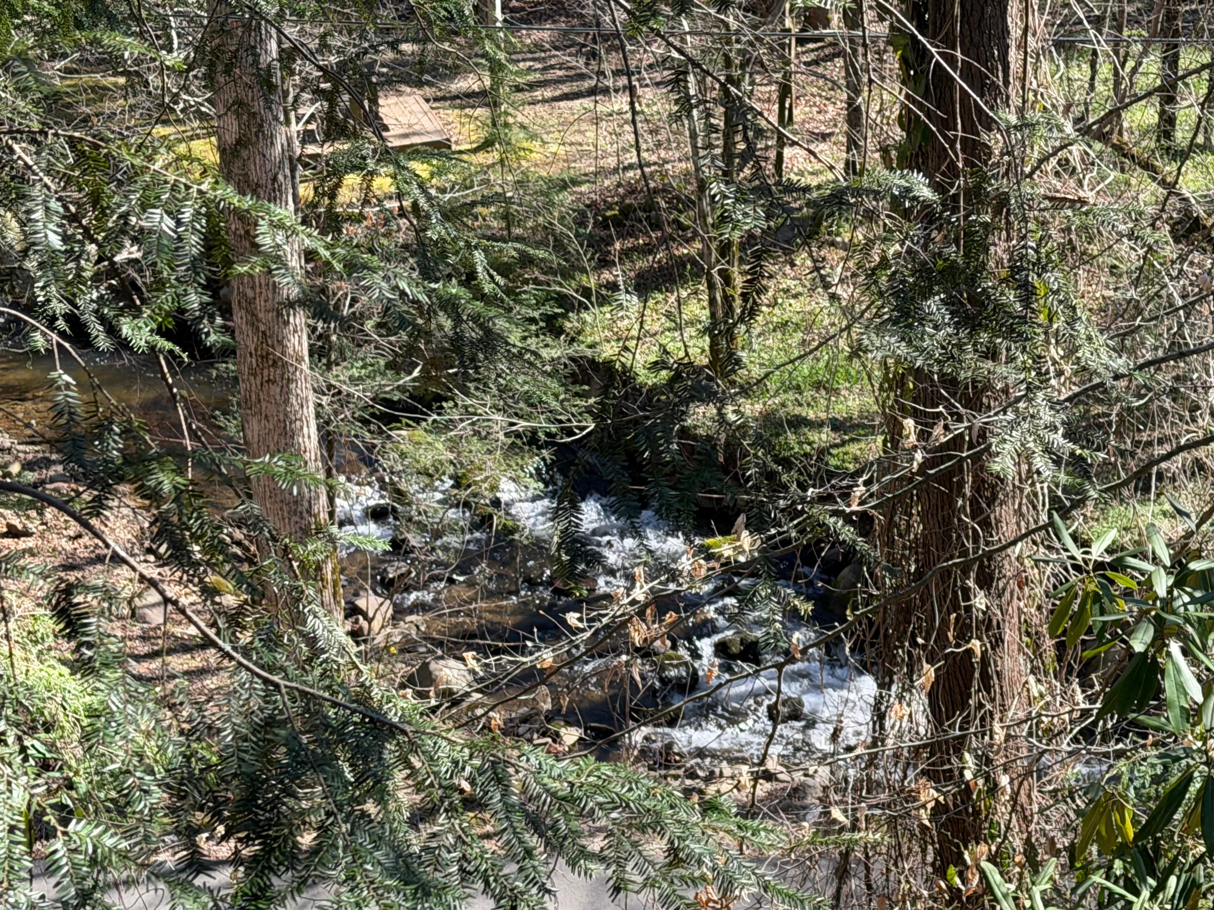View of the creek from the deck
