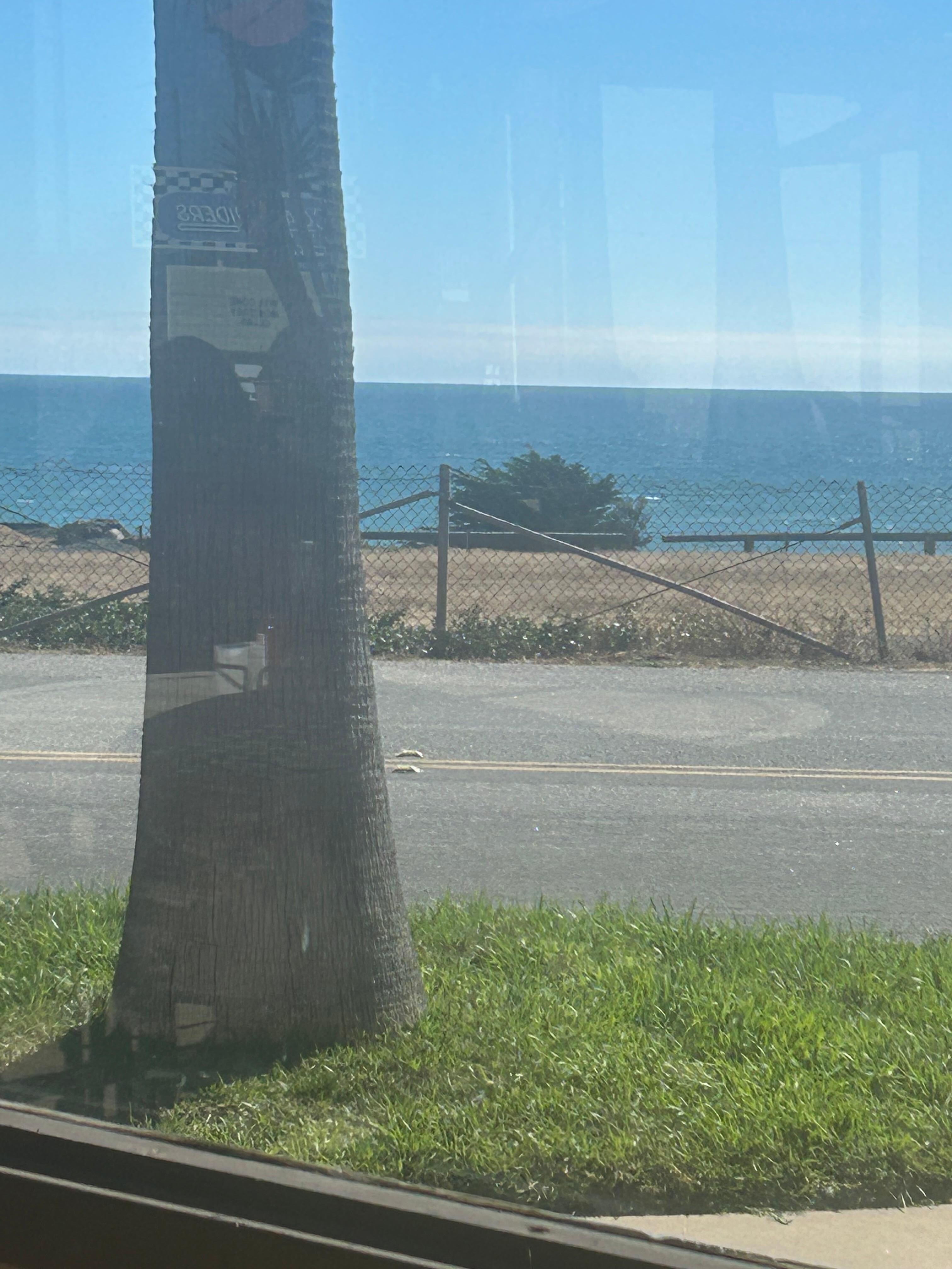 View from the café at San Simeon Lodge