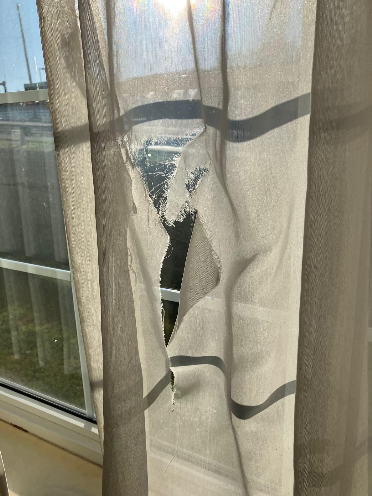 Torn curtains