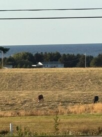 Our neighbours!