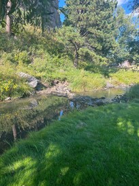 The creek next to the cabin is very relaxing.