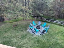 Deer from the deck