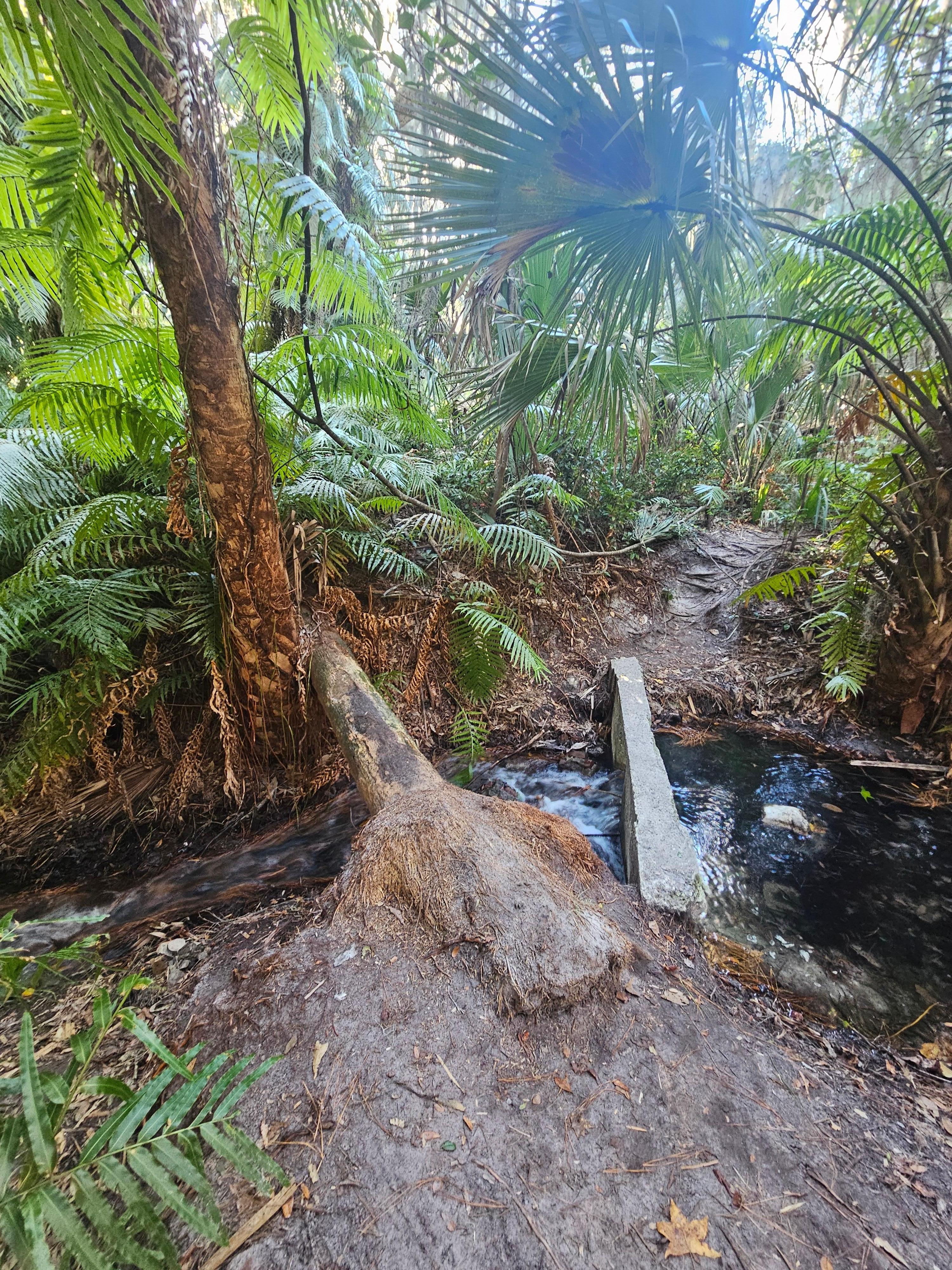 Green Springs. More rustic walk. But so beautiful.  Only like 10 to 15 min from hotel. 