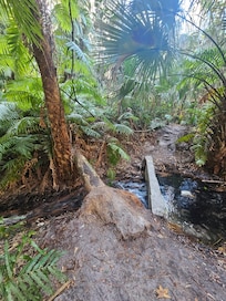 Green Springs. More rustic walk. But so beautiful. Only like 10 to 15 min from hotel.