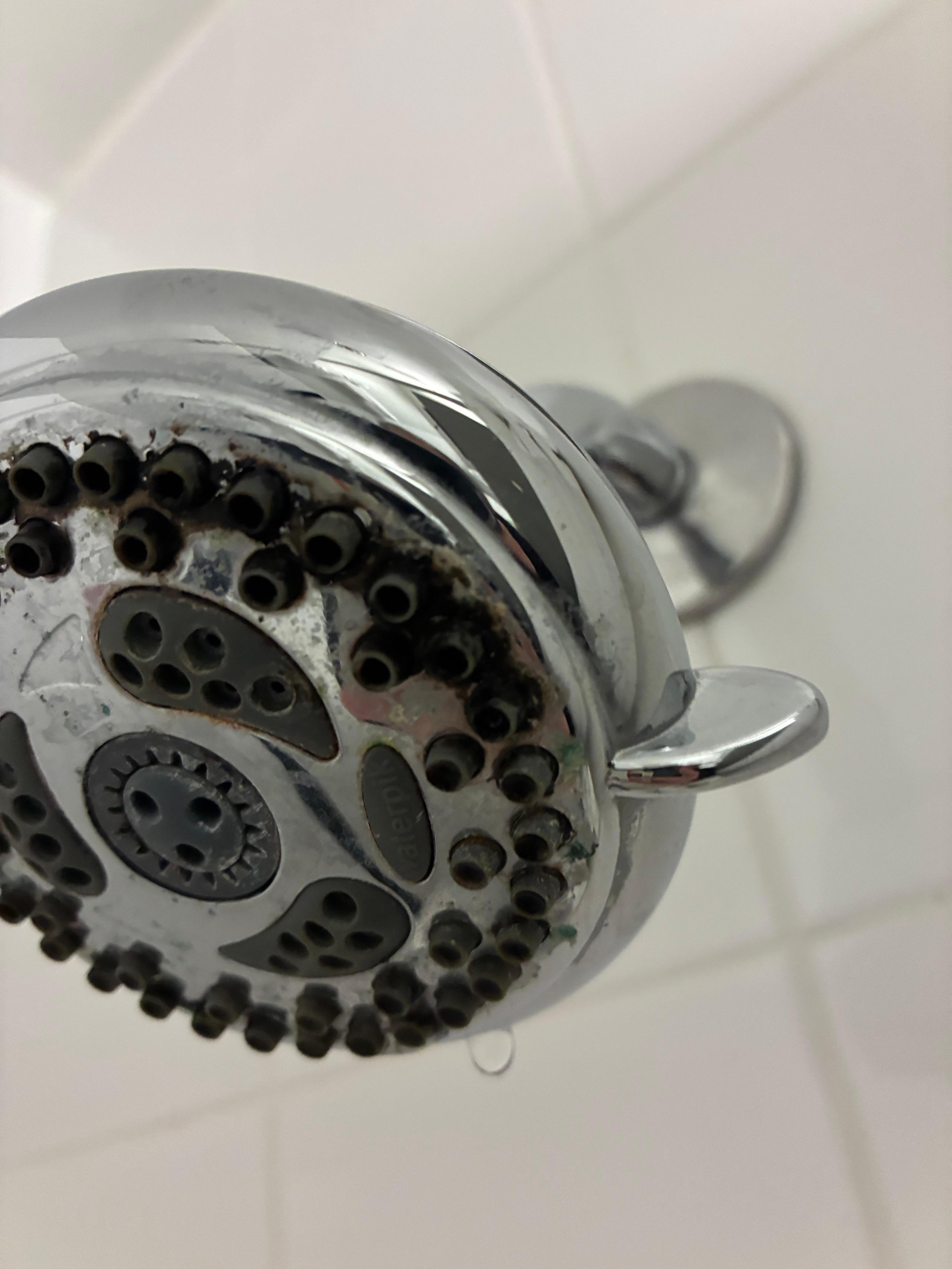 Shower head 