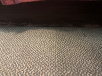 Stained carpet