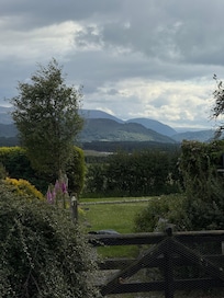 The view!