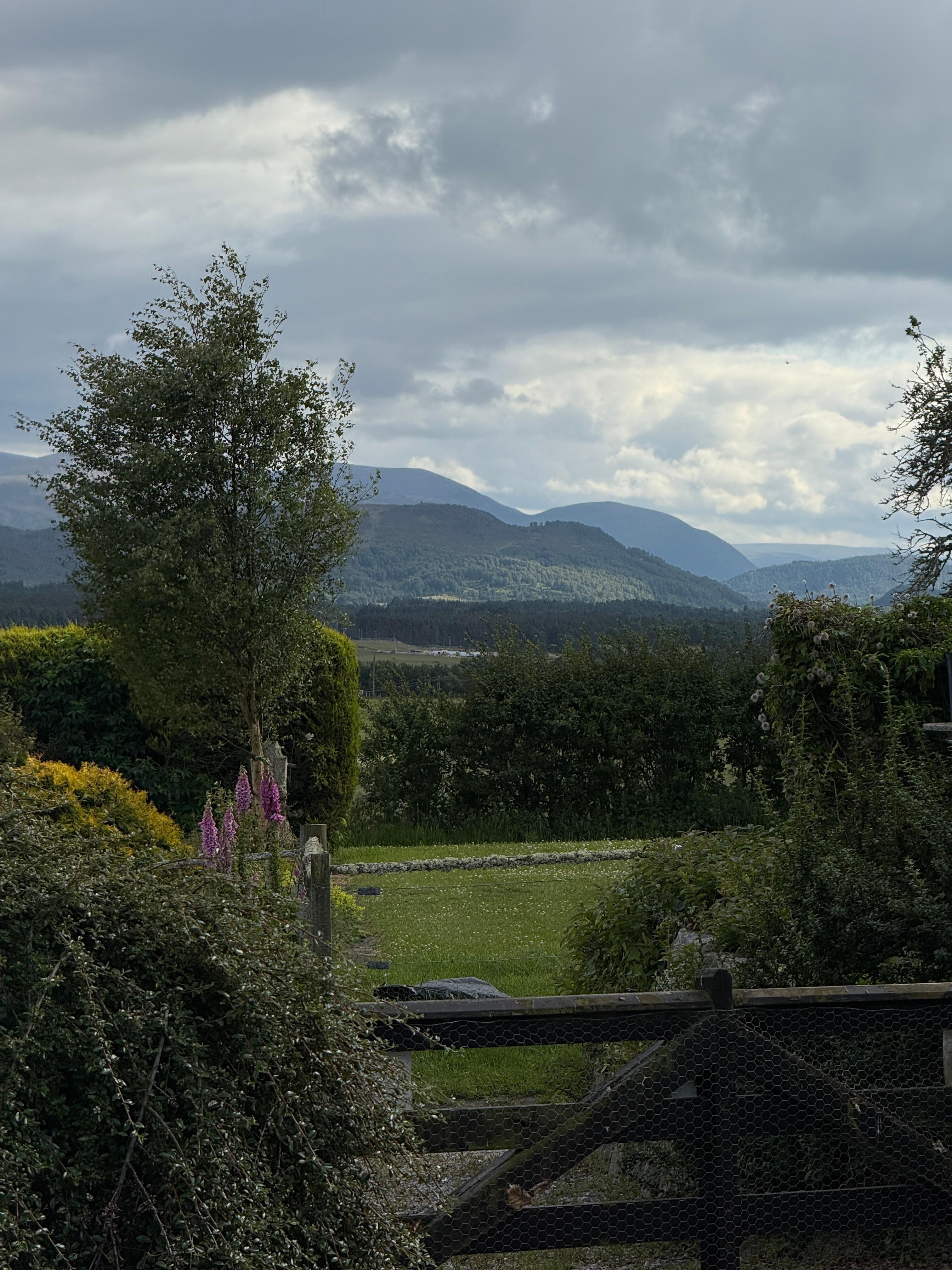 The view!