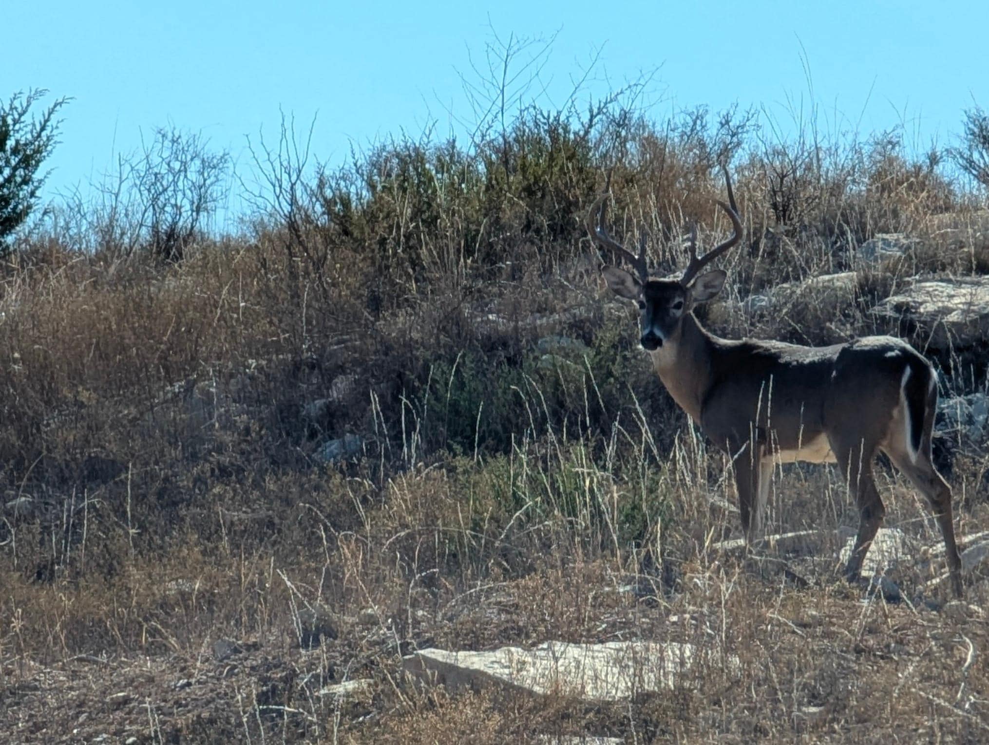 The Concierge at the front desk