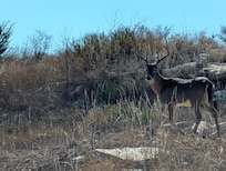 The Concierge at the front desk