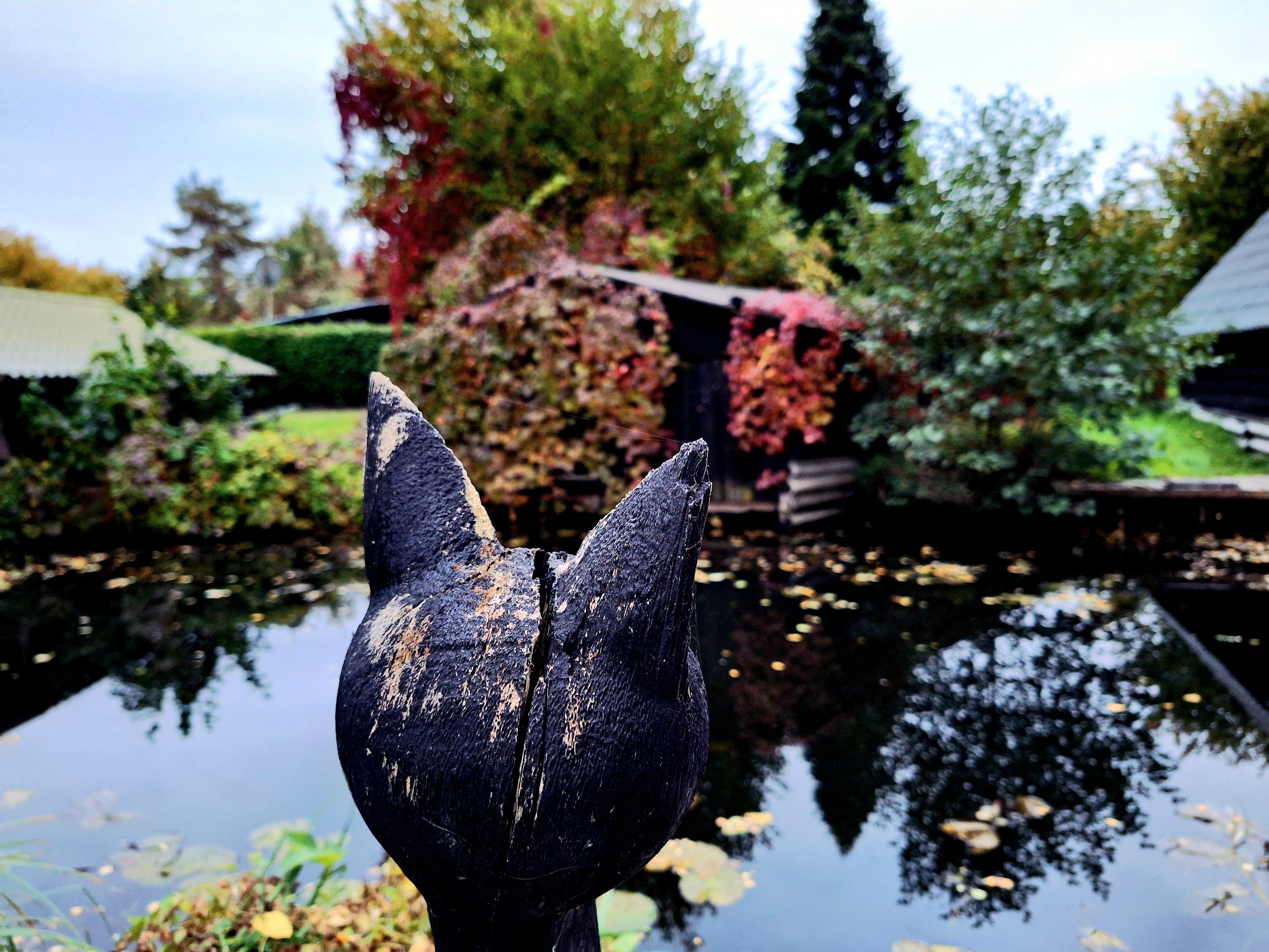 Blick vom Steg azf die Havel