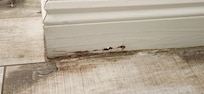 floor in main bathroom