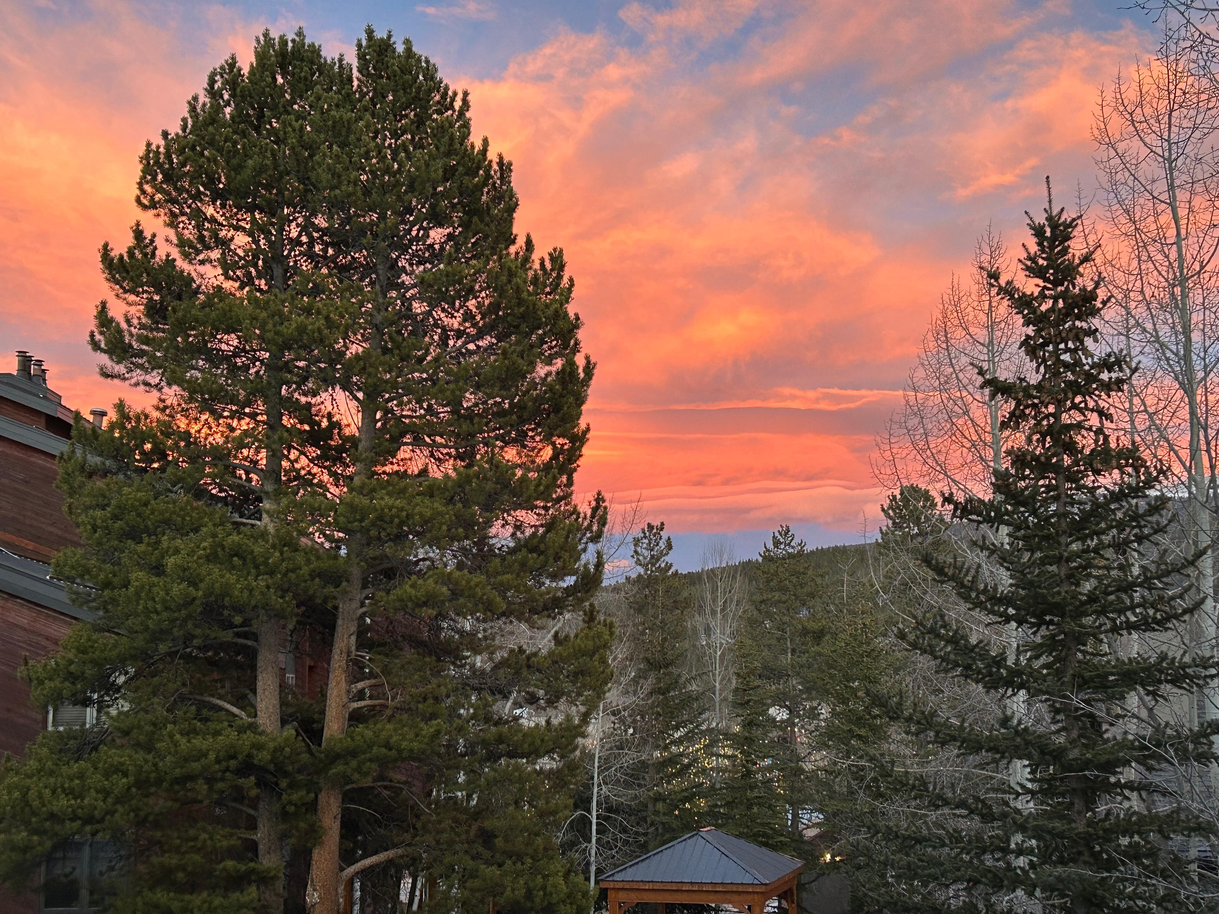 Picture from the patio.