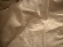 Crumbs in bed