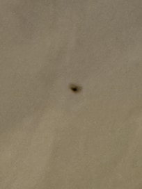 Bloody snot on the pillows and sheets.