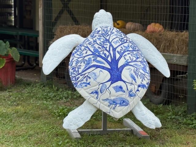 Turtle Art