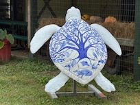 Turtle Art