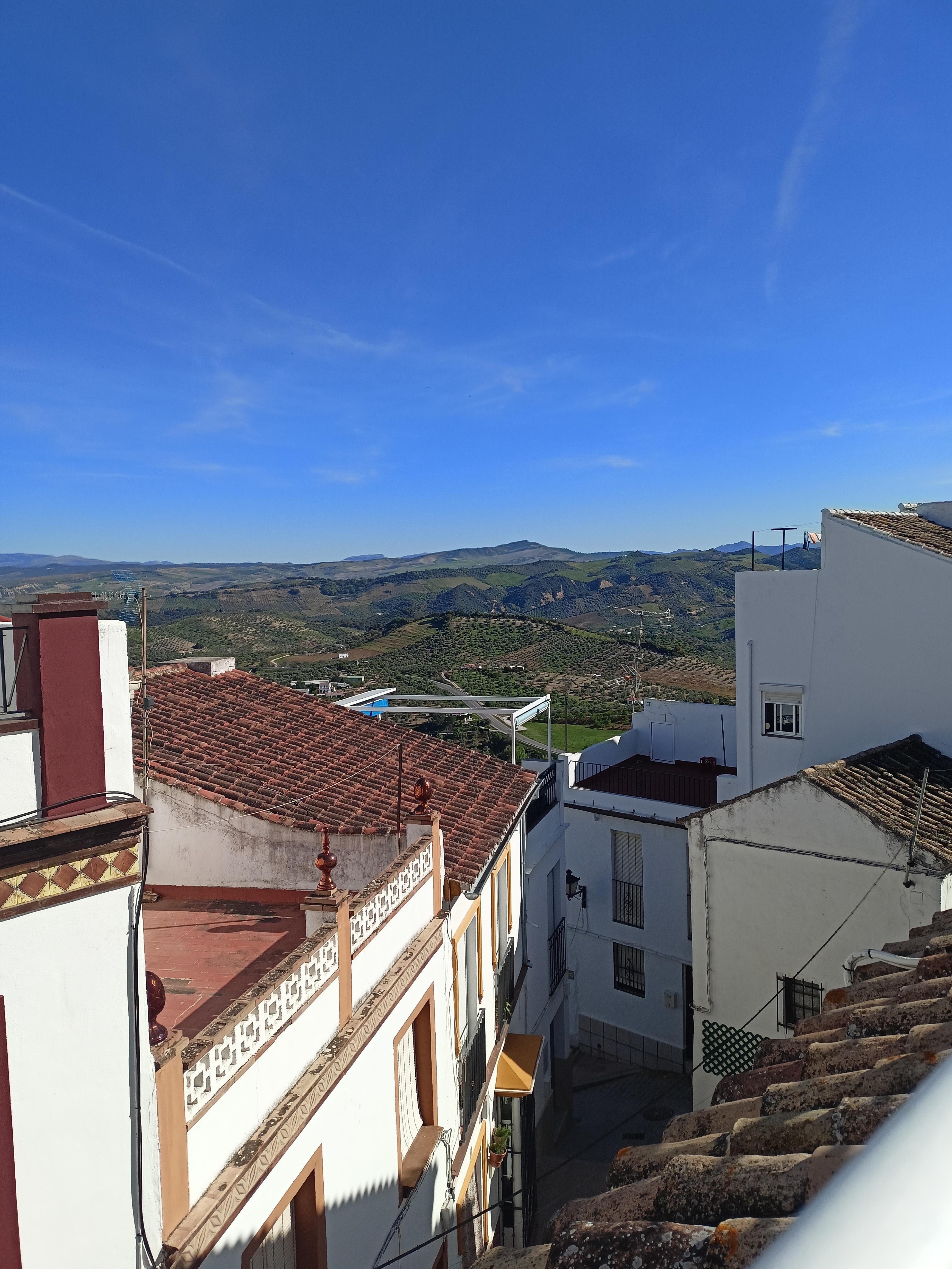 View from the terrace