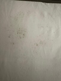 More molded stains