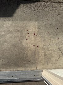 Directly in front of our hotel room door.
