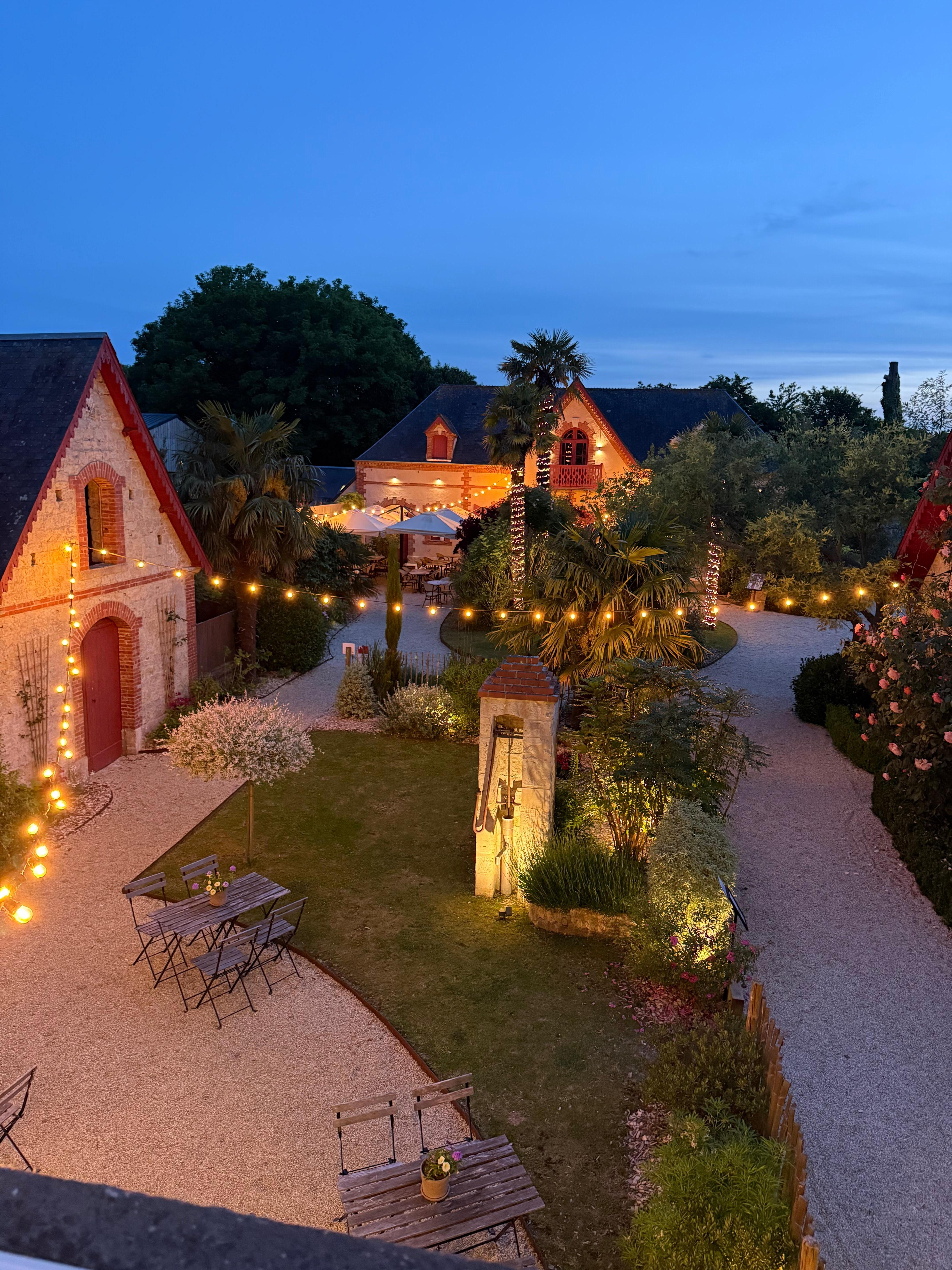 View of garden at night