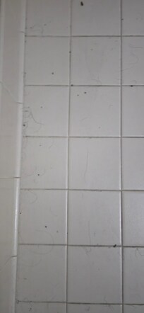 Since we're skipping the toilet, why bother with the floor behind the bathroom door. Because no-one bothers to close a bathroom door anyway, so they won't see this.