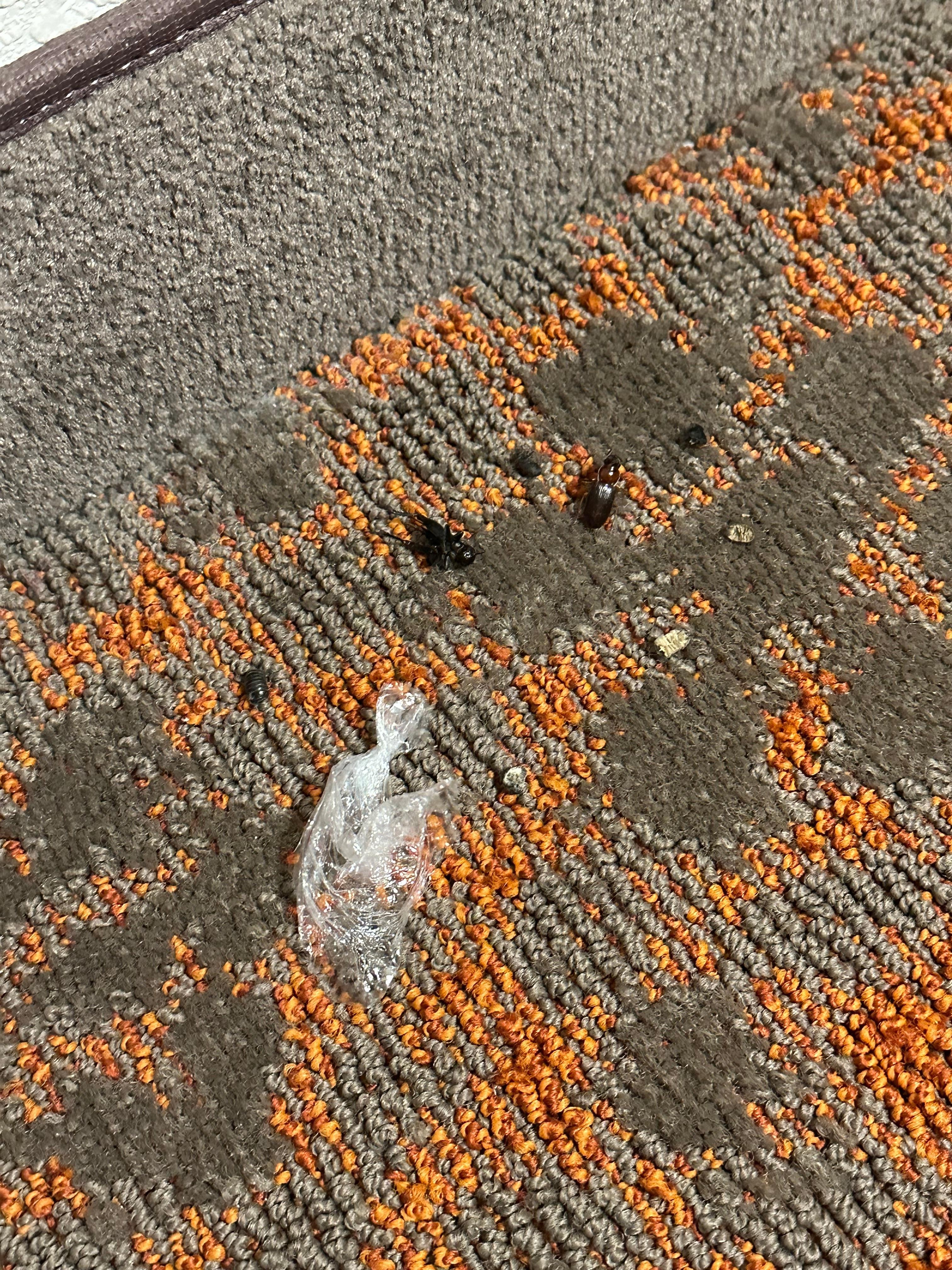 A pile of dead bugs next to the bed with a candy wrapper