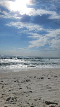 Steps out your back door.