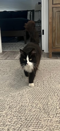 Good morning Genisis! We miss you