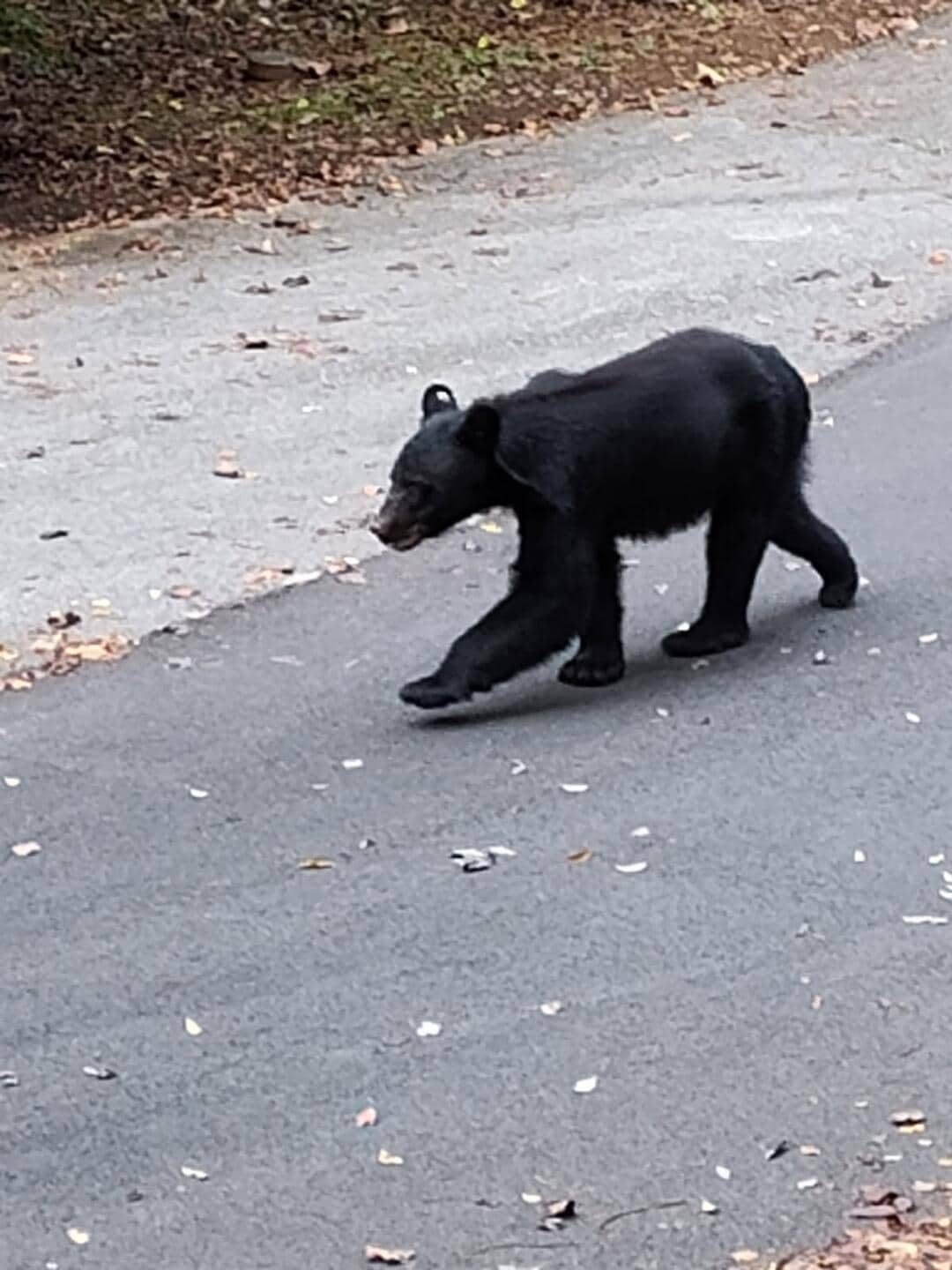 ~It's a hard knock life~ 