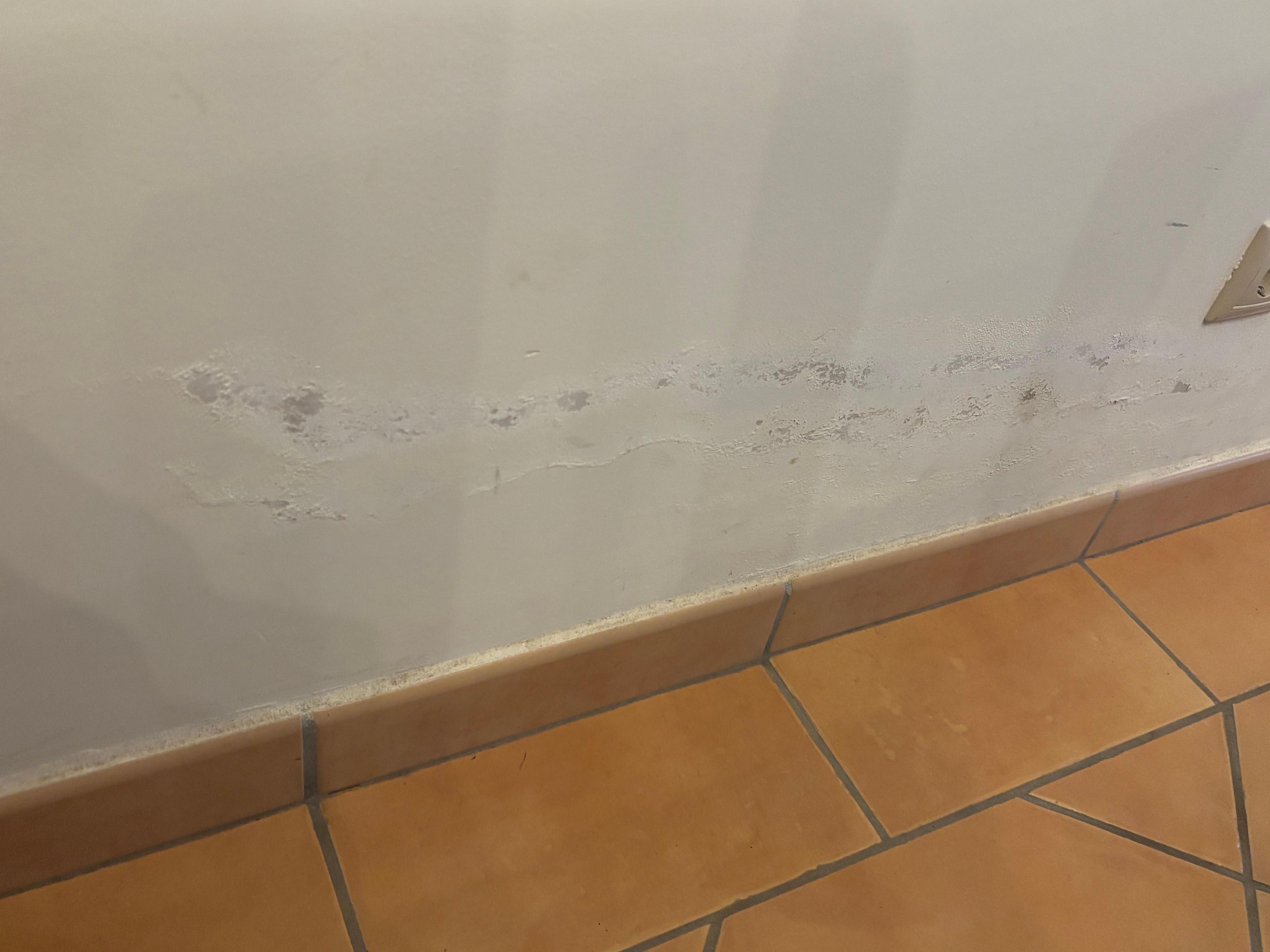 Damp in lounge 