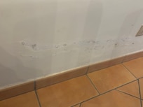 Damp in lounge