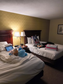 My room stuffed with con goodies lol
