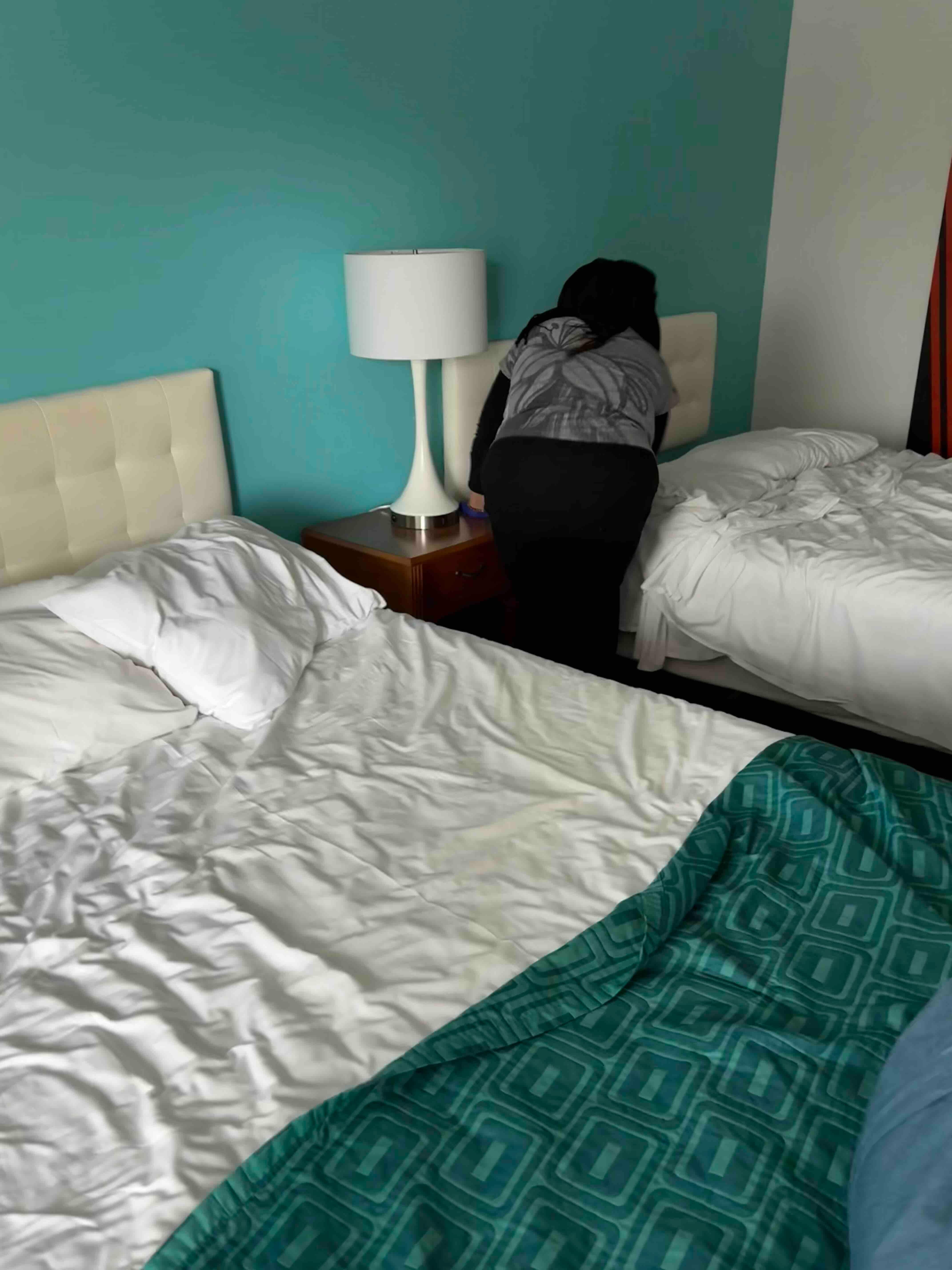 Cleaner removing needle