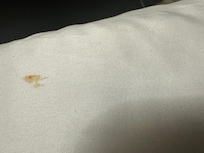 Stain on sheet