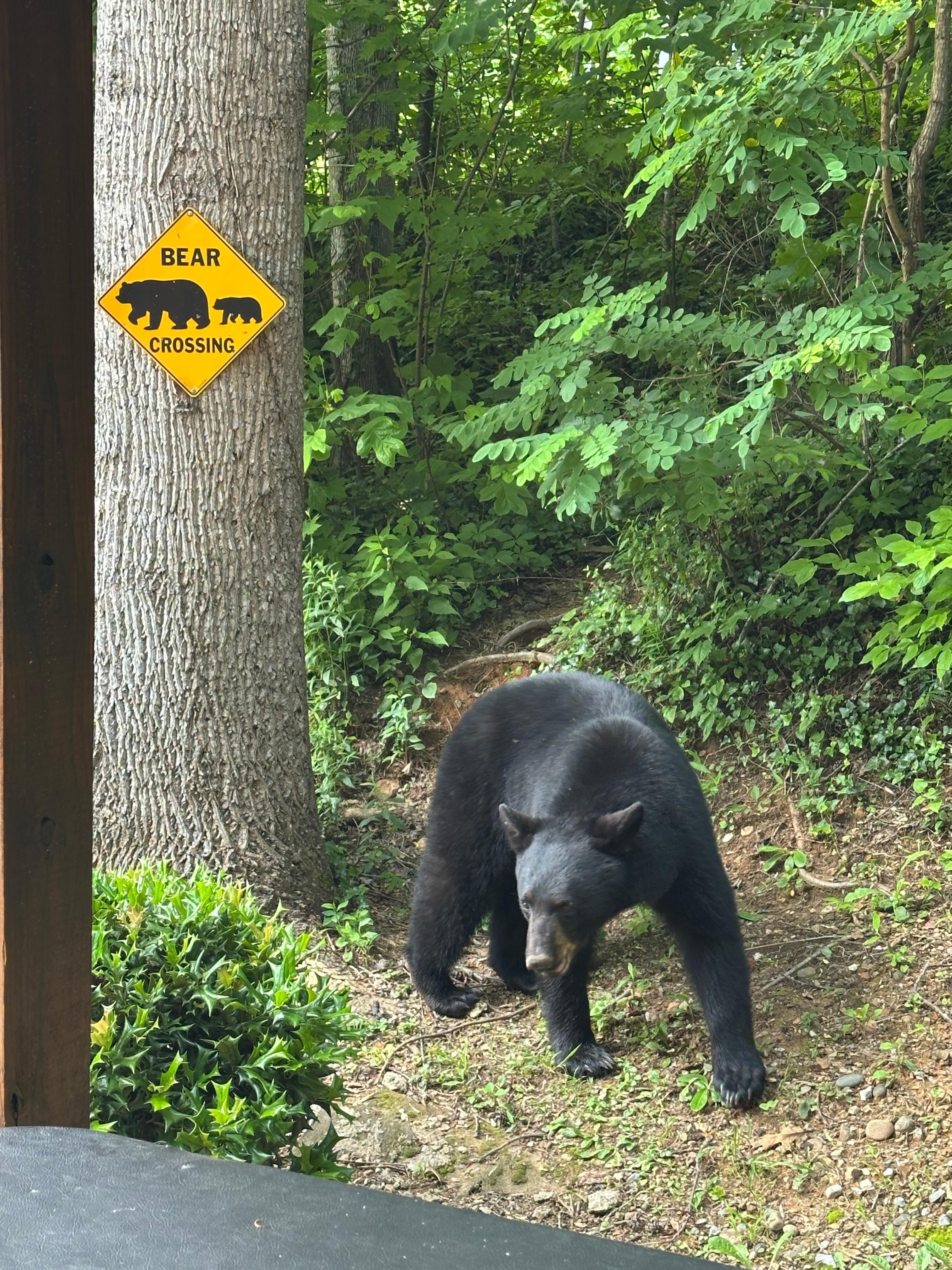 The crossing