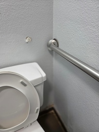 Grab bar loose and hole in wall