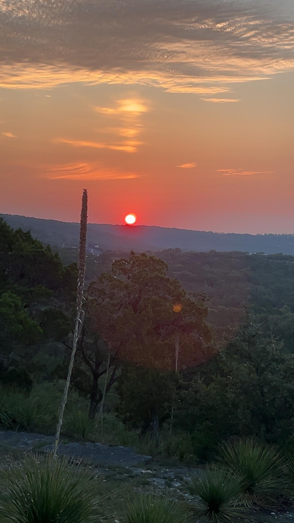 Sunrise from the side porch 😍