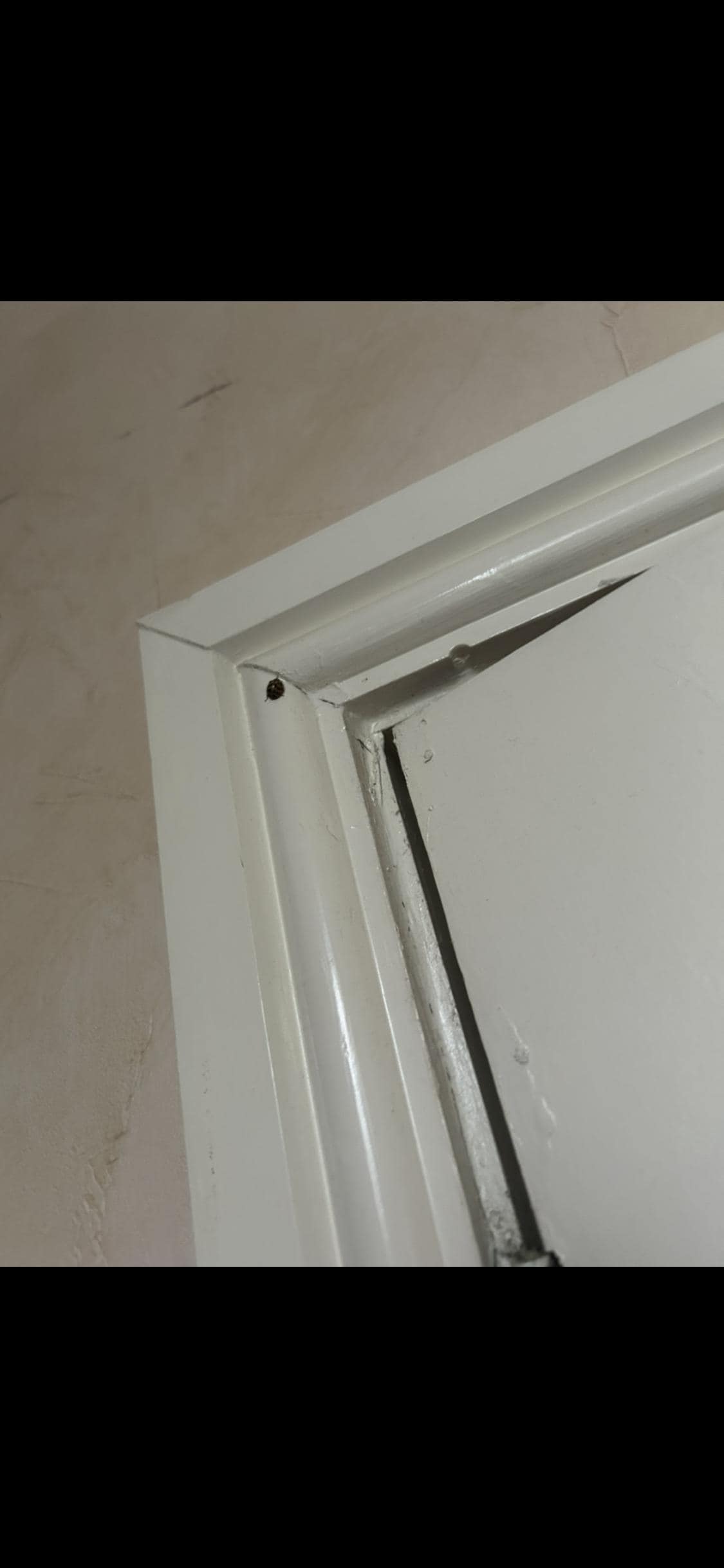 Bugs were found in several places 