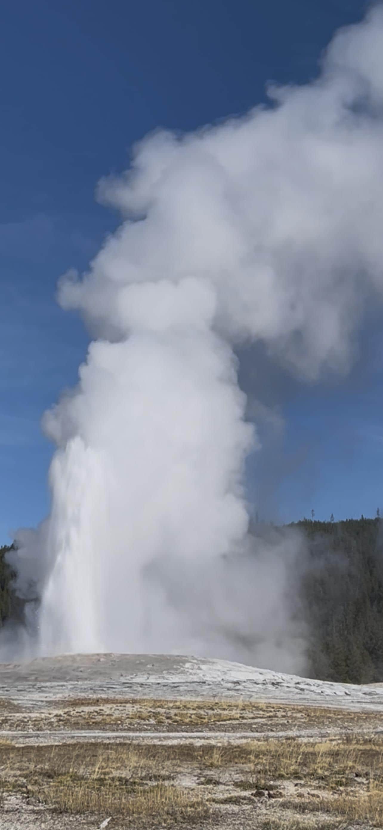 Old Faithful 